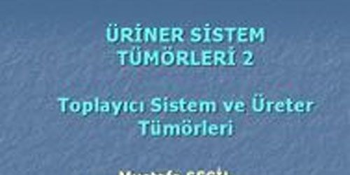 TOPLAYICI SİSTEM VE ÜRETER TÜMÖRLERİ