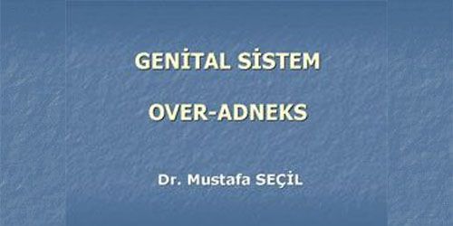 KADIN GENİTAL, OVER-ADNEKS