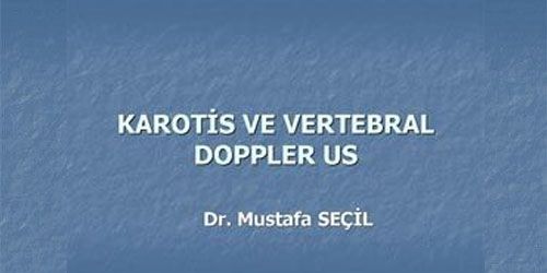 KAROTİS - VERTEBRAL 1